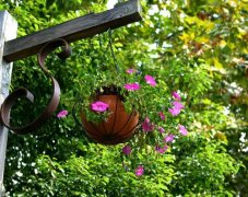 姓富女孩时尚的名字