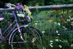 姓侯女孩时尚的名字