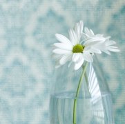 鸡年九月出生男孩名字 属鸡9月男宝宝起名