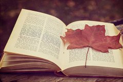 怎样给2017年出生宝宝起名 2017出生宝宝起名方法及名字大全