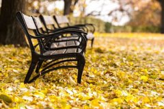 姓蓟女孩时尚的名字