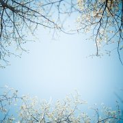 怎样给宝宝起个可爱好听的名字 宝宝好听可爱起名方法介绍