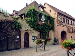 姓莘女孩时尚的名字