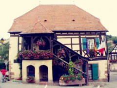 姓党女孩时尚的名字