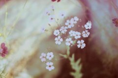 怎样给宝宝起一个洋气的名字?