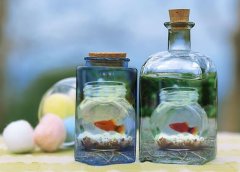 姓沙女孩名字时尚的