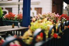 姓扶女孩时尚的名字