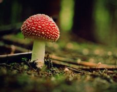 姓戈女孩时尚的名字