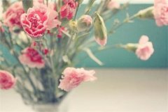 2017鸡年农历九月出生男孩名字 2017年阴历九月男宝宝起名