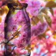 怎样给宝宝起一个寓意好有前途的名字?