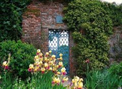 姓厍女孩名字时尚的