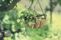 姓毋女孩名字时尚的