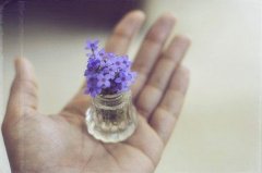 姓伏女孩名字时尚的