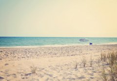 狗年女宝宝起好听的名字注意事项