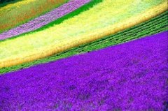 姓欧阳女孩名字时尚的