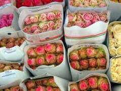 姓况女孩名字时尚的