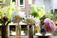 2018狗年六月出生宝宝名字