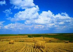 姓海女孩名字时尚的