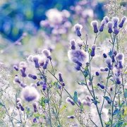 100个宝宝起名改名常用字推荐