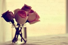 姓张女孩名字属猪2019好听的