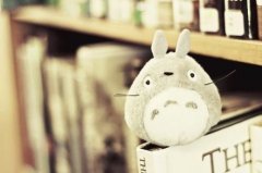 2018温文儒雅的男孩女孩名字常用字