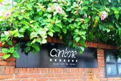 姓戚女孩名字属猪2019好听的