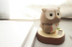 姓柏女孩名字属猪2019好听的