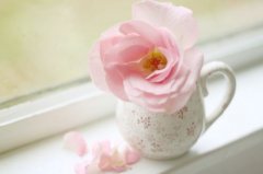 为双胞胎起个好听的名字