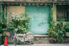 姓乐女孩名字属猪2019好听的