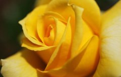 独特的女宝宝起名方法