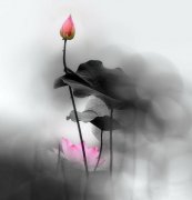 姓危女孩名字属猪2019好听的