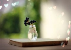 姓丁女孩名字属猪2019好听的