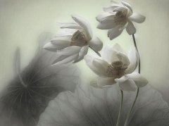 姓童女孩名字属猪2019好听的