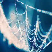 姓熊女孩名字属猪2019好听的