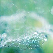 姓庞女孩名字属猪2019好听的