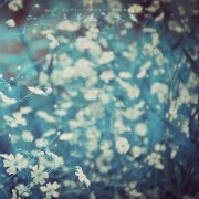 宝宝怎么起名更有诗意