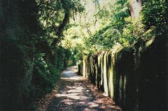 如何给宝宝取个好听的名字