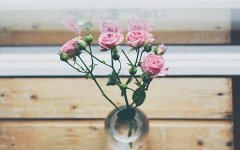 女宝宝起名字常用字大全