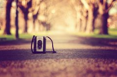 姓房女孩名字属猪2019好听的