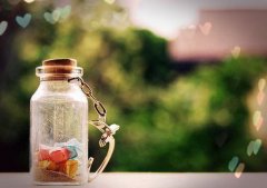 姓解女孩名字属猪2019好听的