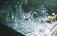 姓家女孩名字属猪2019好听的