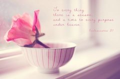 猪宝宝取名字大全2019