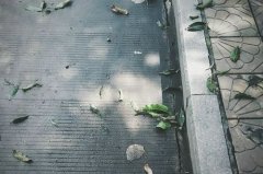 姓翁女孩名字属猪2019好听的