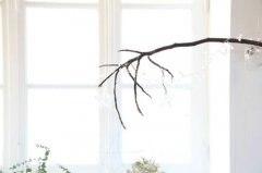 姓芮女孩名字属猪2019好听的