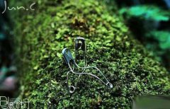 双胞胎名字大全2019