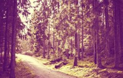 单字名比较可爱