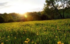 有文采典故的女生名