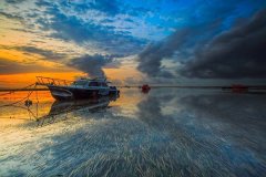 姓台女孩名字属猪2019好听的