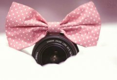 姓能女孩名字属猪2019好听的