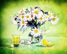 姓鱼女孩名字属猪2019好听的